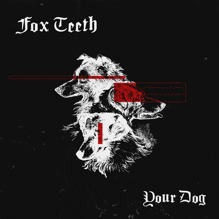 Your Dog // Donnie Darko | Fox Teeth