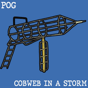 Cobweb In A Storm cover