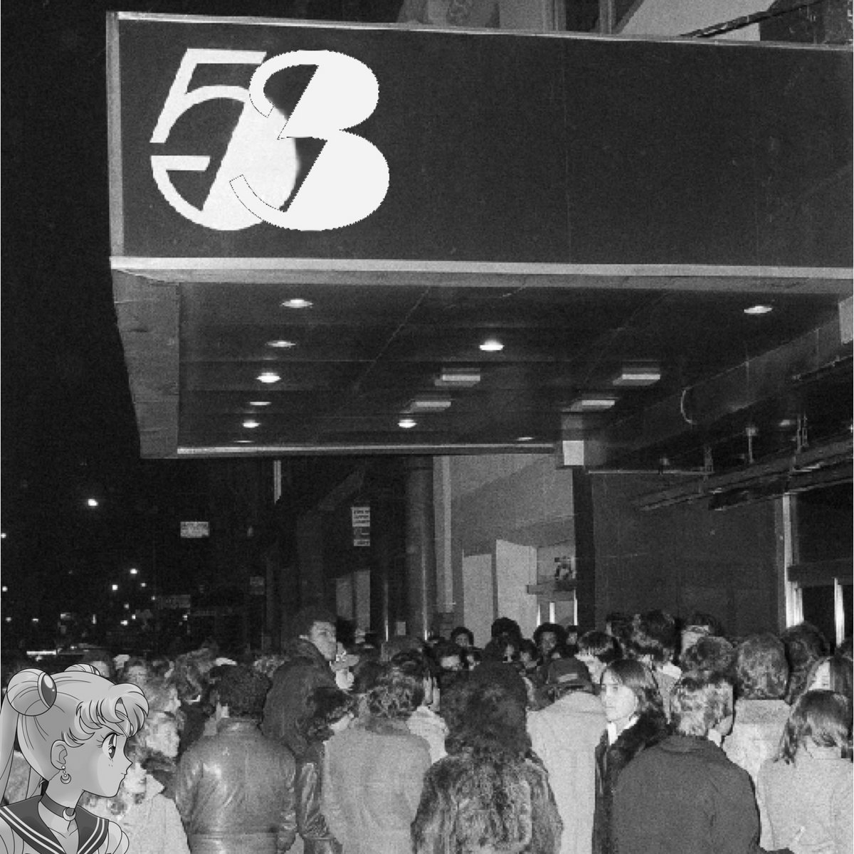 Studio 53 | ASTRO | Palm 84