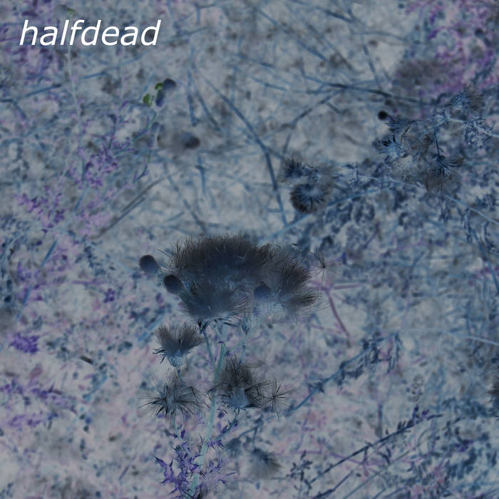 halfdead (deluxe edition) by halfdead cover art
