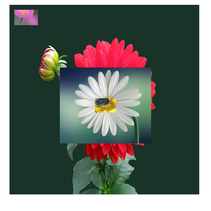 accepRT | Alias | functional