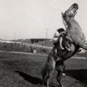 A Horse Named Proletariat (Extended Version) cover