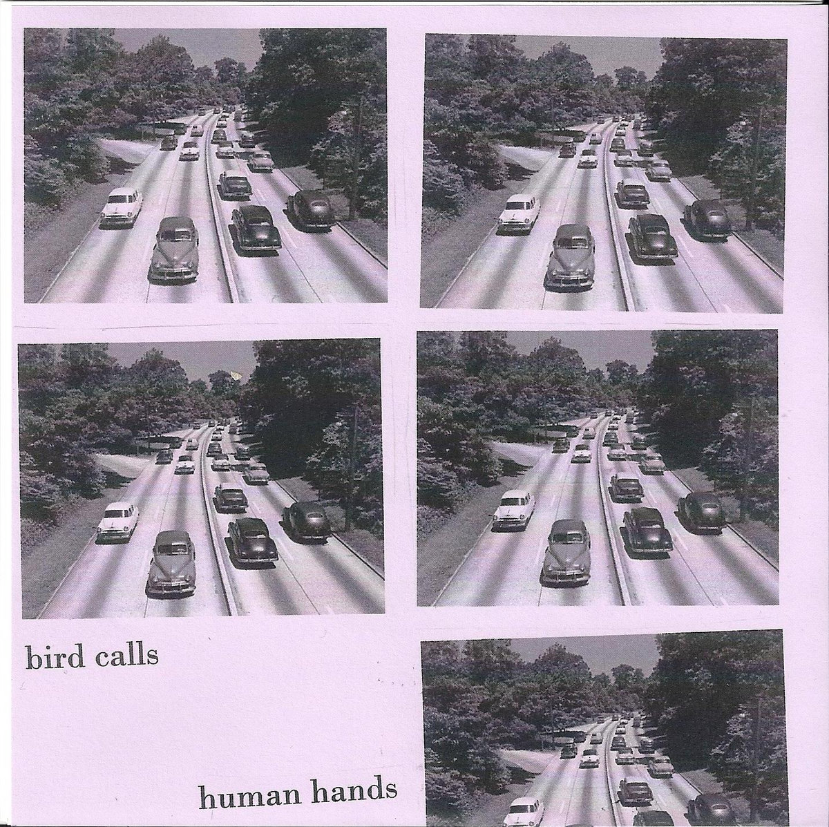 Bird Calls / Human Hands Split 7" cover