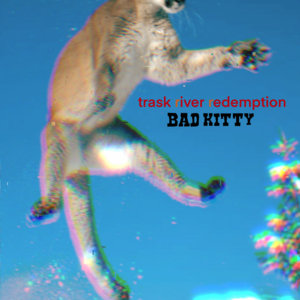 Bad Kitty cover