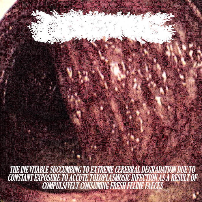 cobblestoning.bandcamp.com