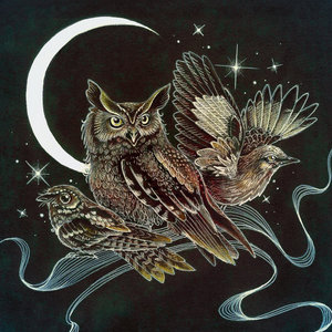 Certain BirdsFish in a Birdcage, Shayfer James & Sparkbird cover