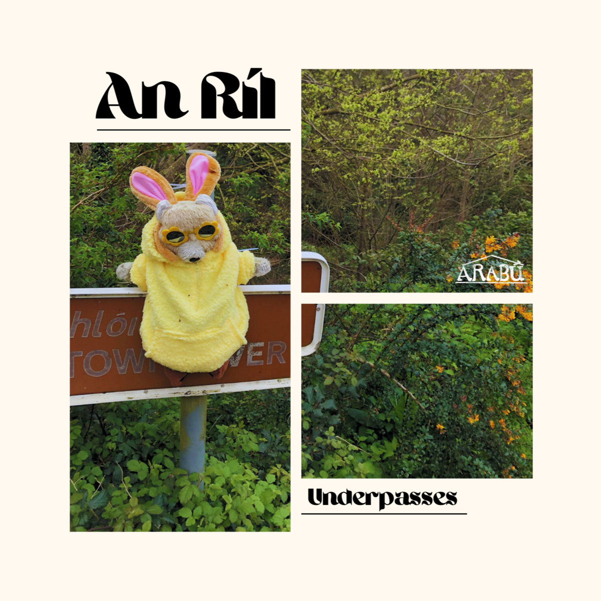 An Ríl cover