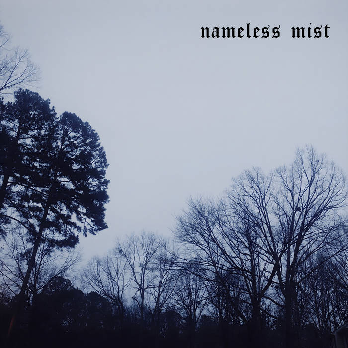 album cover for lifeless by nameless mist