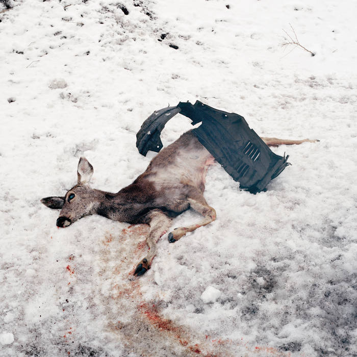 White_ward Debemur_morti