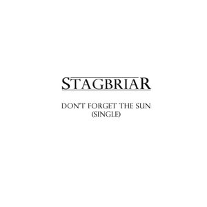 Don't Forget the Sun (Single) cover