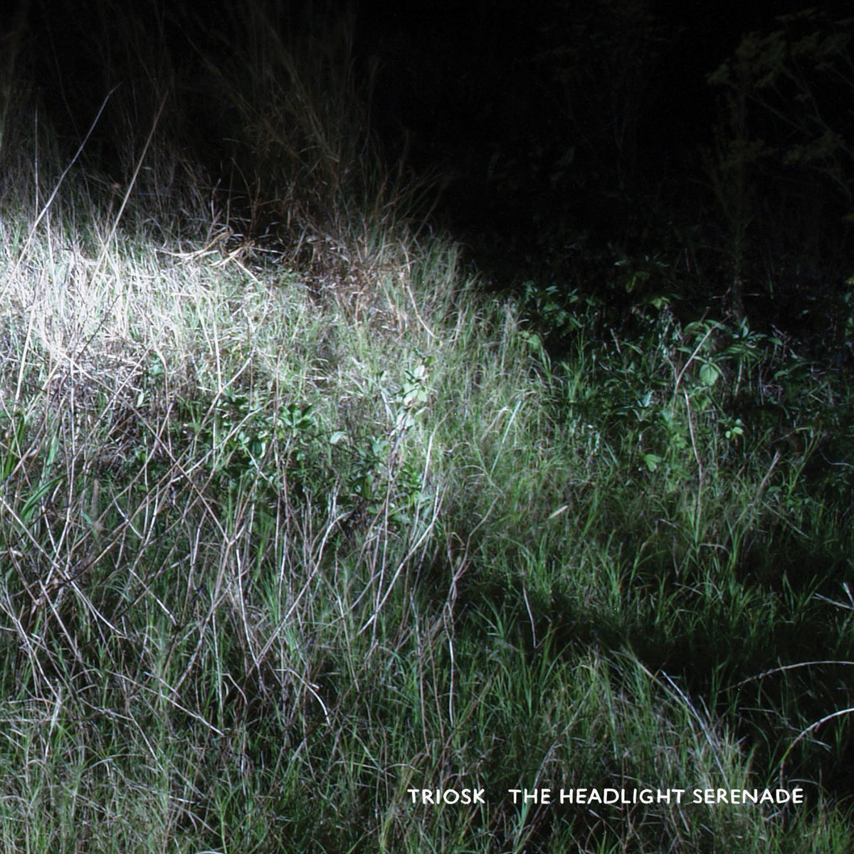 The Headlight Serenade by Triosk
