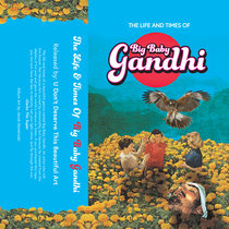 The Life & Times of Big Baby Gandhi cover art