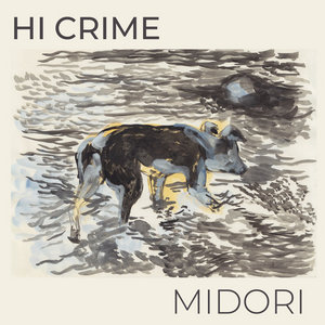 Midori cover