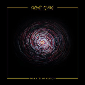 Secret Shame — Dark Synthetics