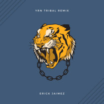 YRN (Erick Jaimez Tribal Remix) cover art