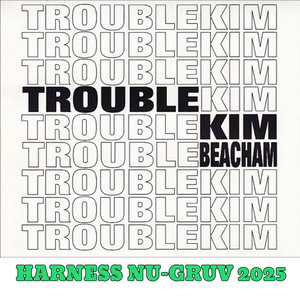 Trouble ( Harness Nu-Gruv 2025) cover
