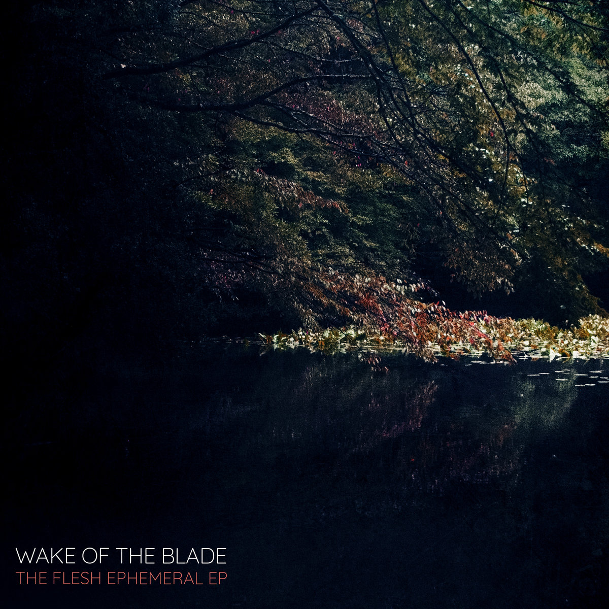 https://wakeoftheblade.bandcamp.com/releases