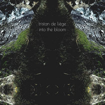 Into the Bloom cover art