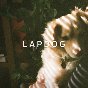 LAPDOG cover