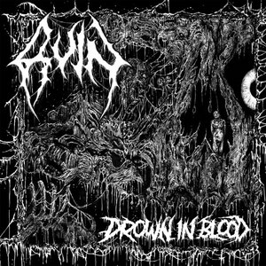 Drown in Blood cover