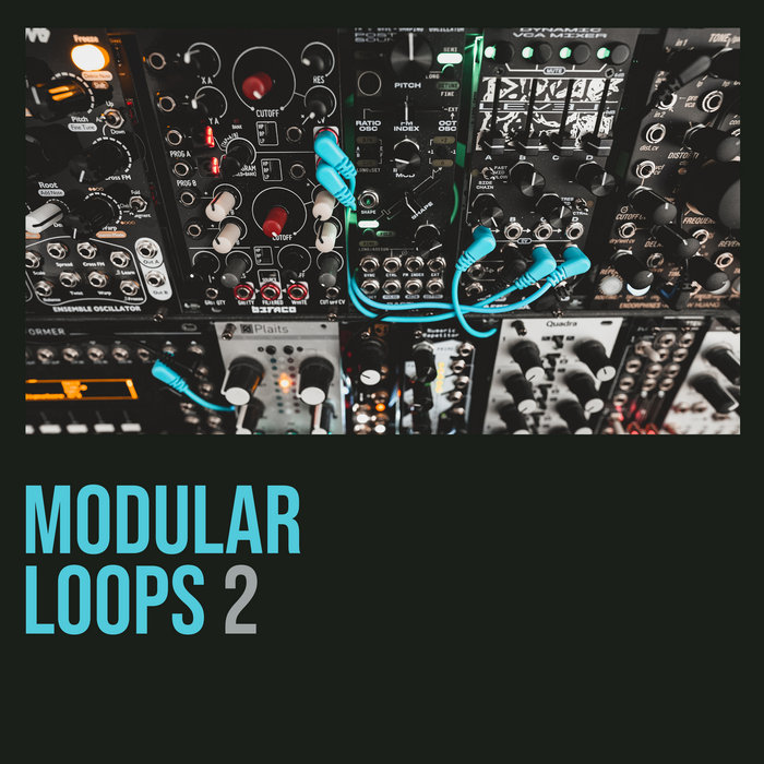 Modular Loops 2 | Shed Skin