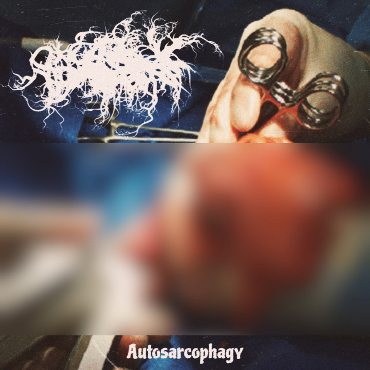 Autosarcophagy cover