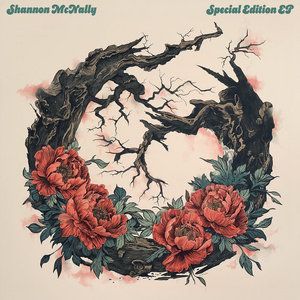 Special Edition EP cover
