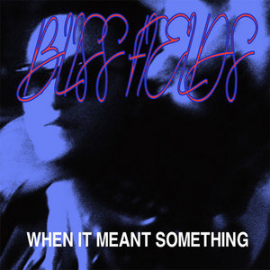 When It Meant Something cover
