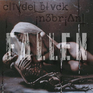 FALLENc|†v̵d̴e|̧ ͜b̀|̶v̵ck X ¡n3br¡Δn† cover