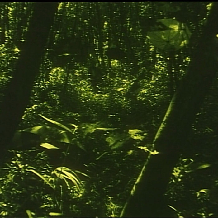 west virginia tape Ꮎ