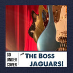 Go Undercover With