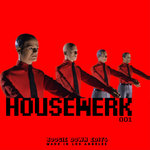 HOUSEWERK 001 🏠