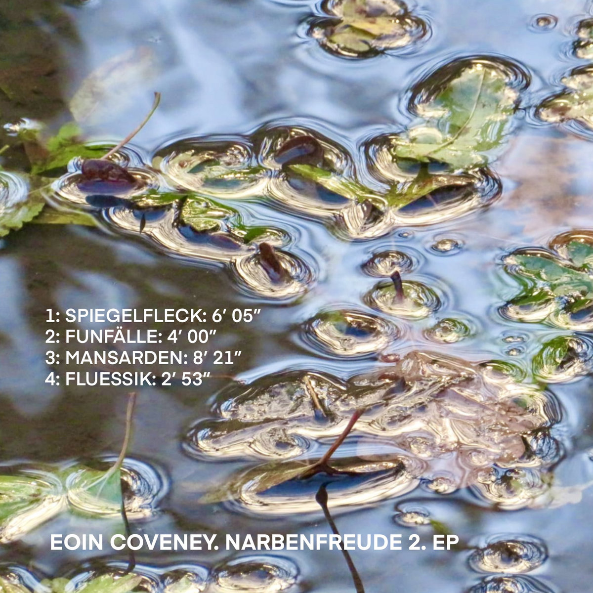 Narbenfreude 2. EP cover