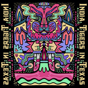 India Tigers in Texas cover