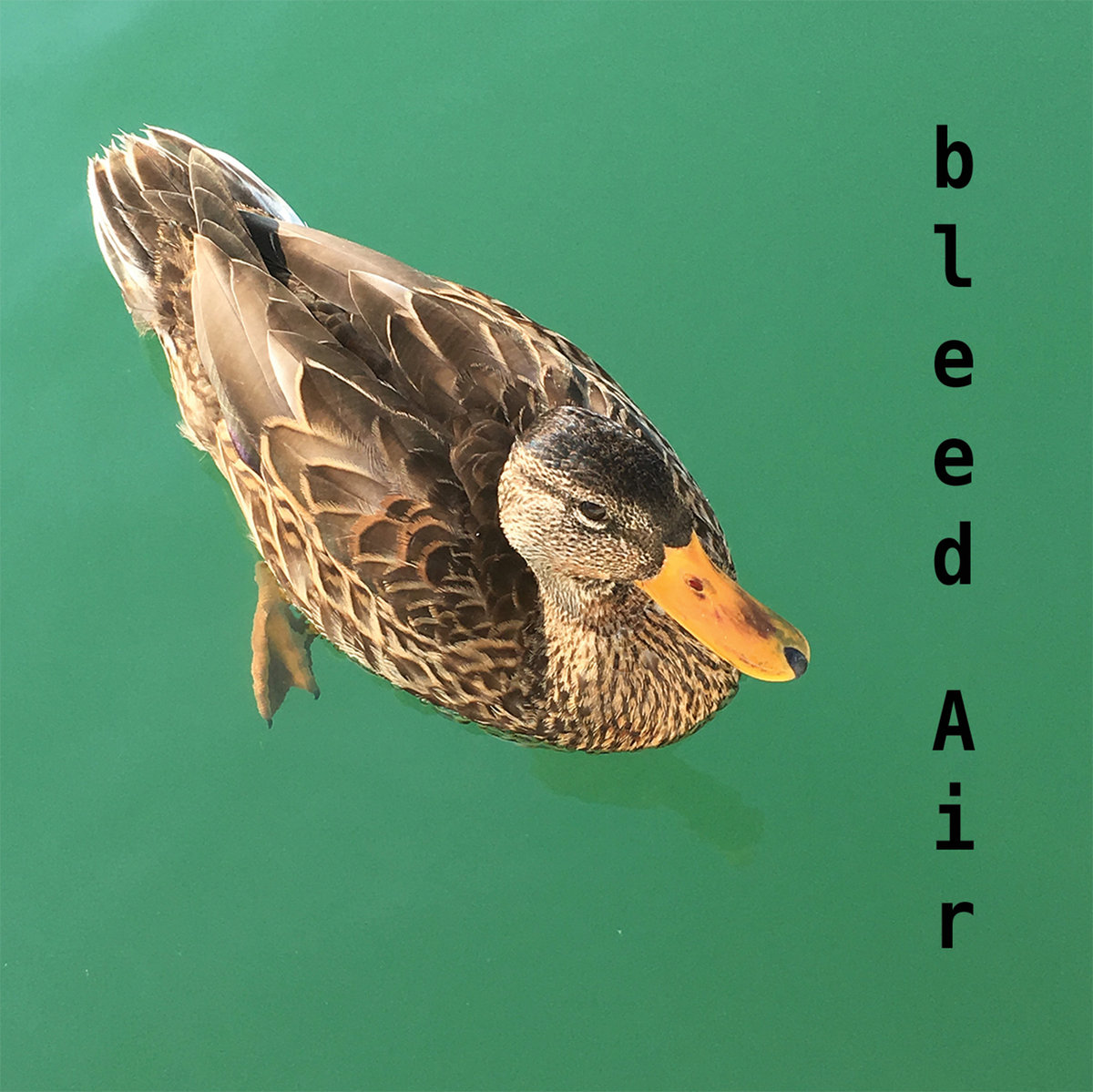 bleed Air – s/t