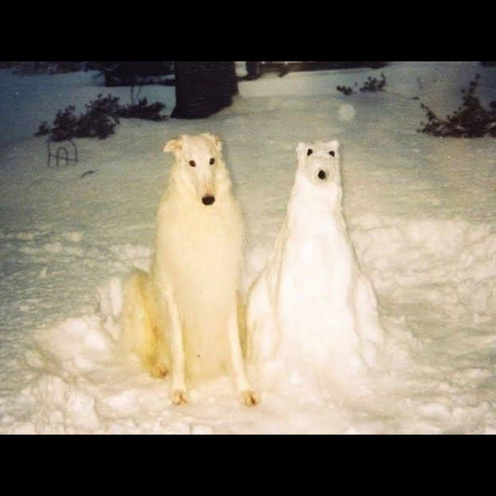an album cover with two dogs on it, one is a borzoi, the other is a bad snowman recreation of the dog