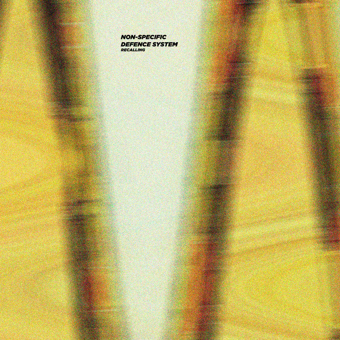 Nsds Recalling Merien Records