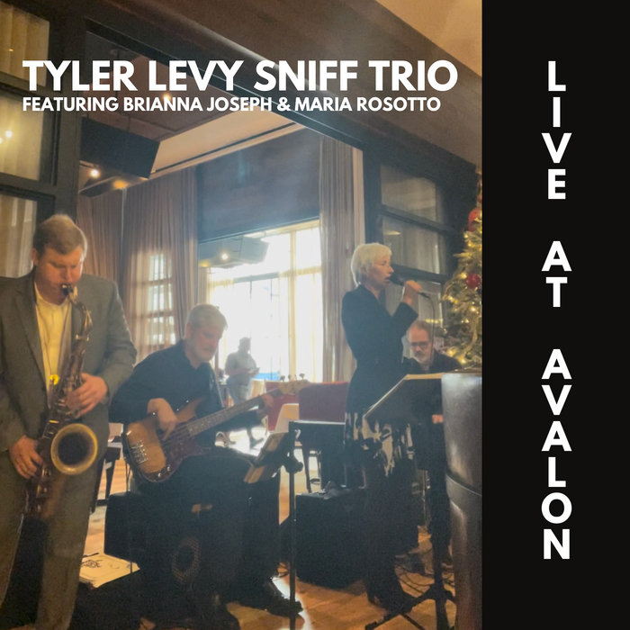 Live At Avalon Tyler Levy live-at-avalon-tyler-levy