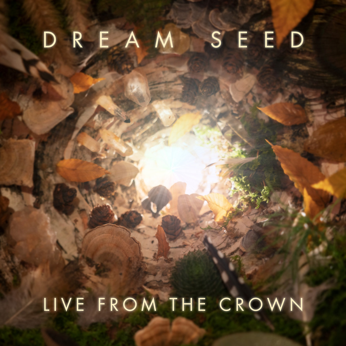 Live From The Crown | Dream Seed