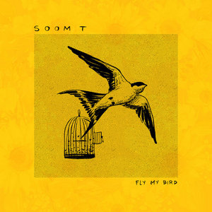Fly My Bird (Maxi Single) cover