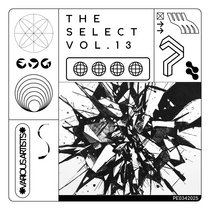 Pure Enjoyment Recording — Various Artists - The Select Vol.13