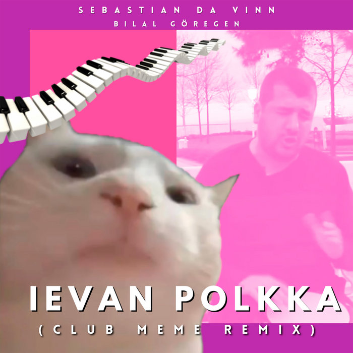 Cat Vibing To Ievan Polkka Ep Sebastian Da Vinn Cat Vibing To Ievan Polkka Ep Sebastian Da Vinn