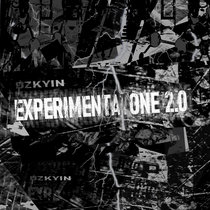 Experimentatone 2.0 cover art