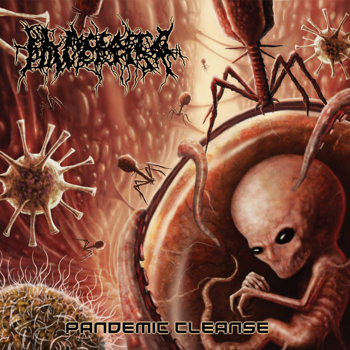 20-60代からのファッション通販  PLACENTA POWERFIST - Pandemic Cleanse | Lacerated Enemy records 洋楽