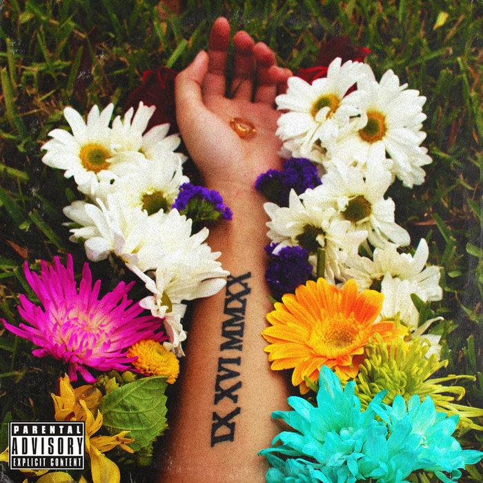 D.L.C. | Dylan Hall