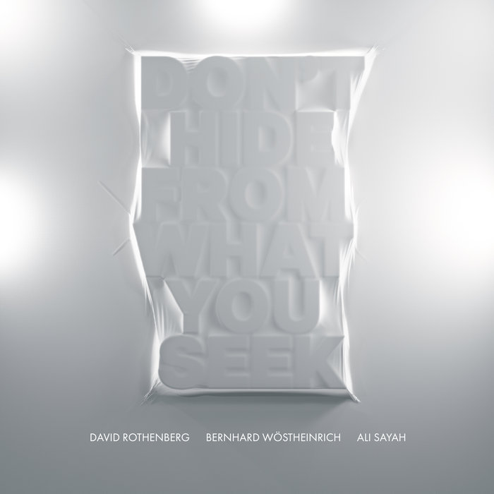 Brent Riddle Don't Hide From What You Seek | David Rothenberg, Bernhard Wöstheinrich ...