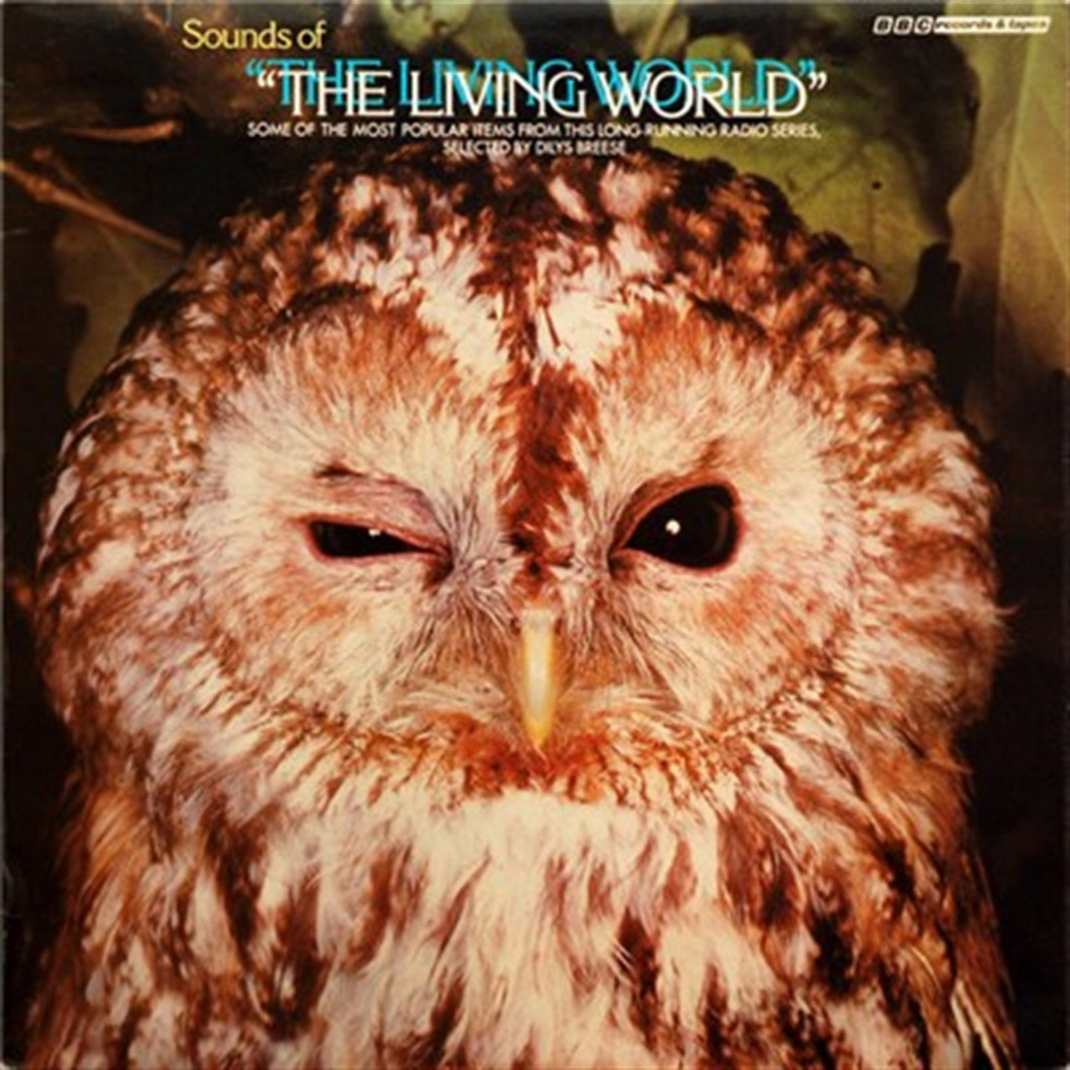 Sounds Of The Living World | No Artist