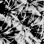 Twilight Of Perception 4