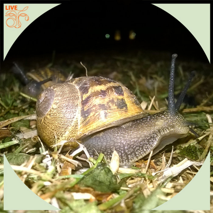 Dan Delion Make me sneeze ART Live