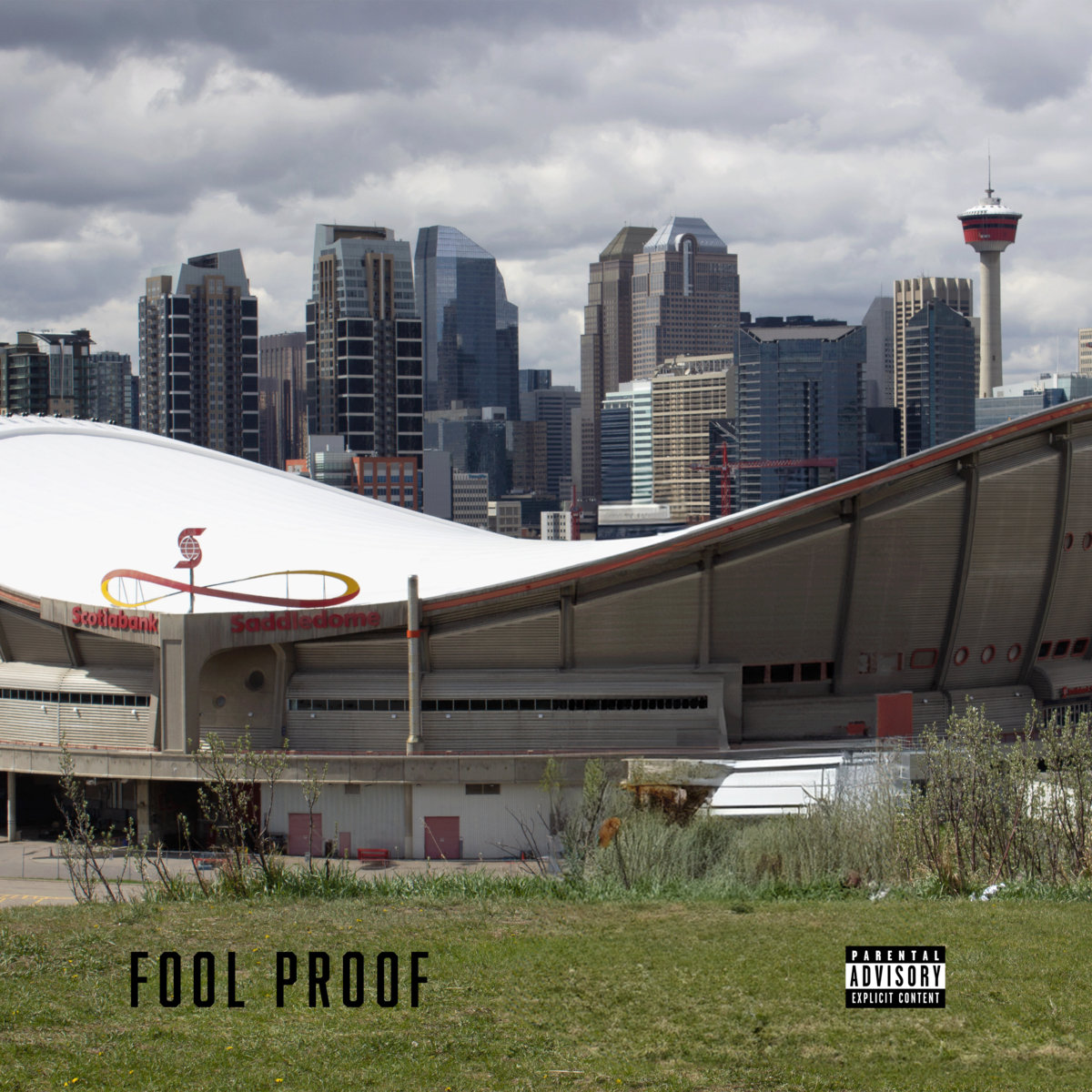 Fool Proof: Fool Proof | D$, M. Ali, Tress | D$